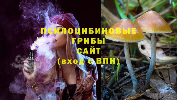 индика Верхний Тагил