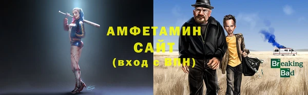 индика Верхний Тагил